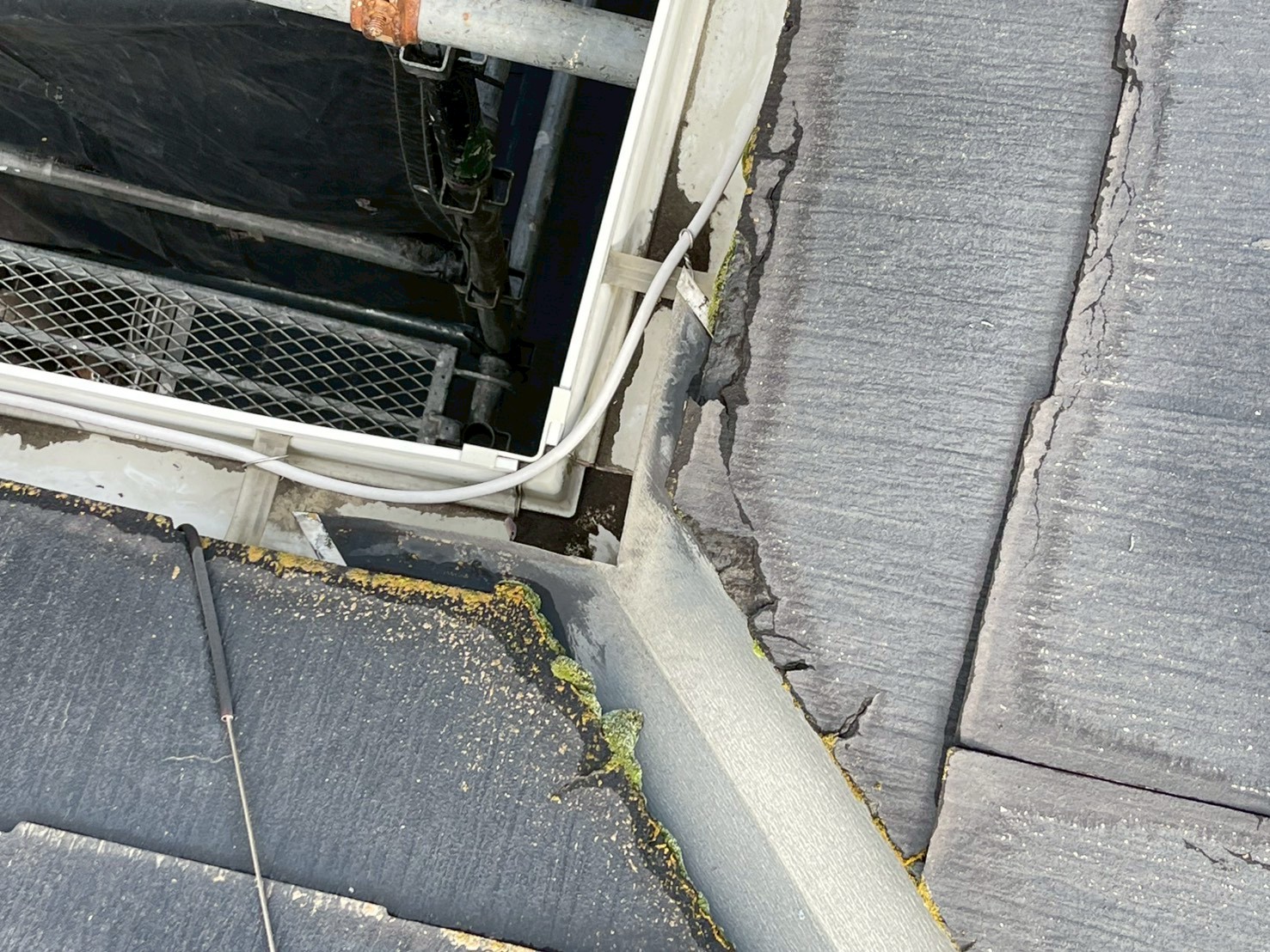 軒先部分に苔がびっしり発生しているスレート屋根